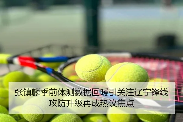 张镇麟季前体测数据回暖引关注辽宁锋线攻防升级再成热议焦点